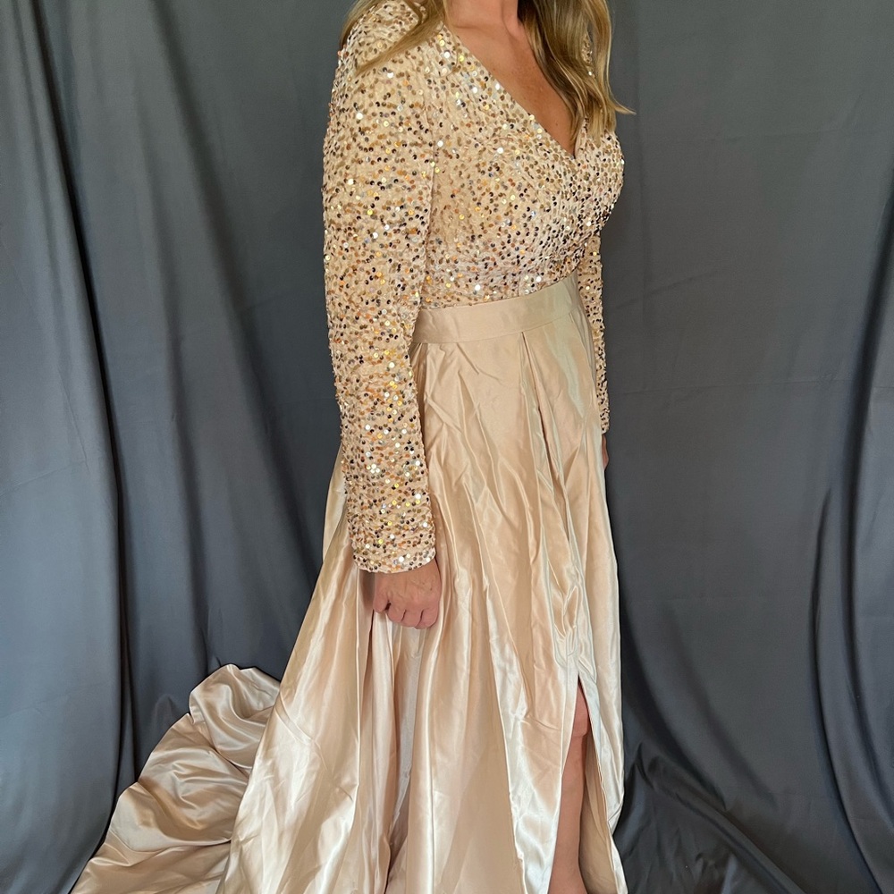 Long Sleeve Sequin Bodice Gown in Champagne